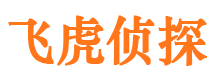 界首婚外情调查取证